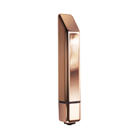 Minivibrator & Bullet