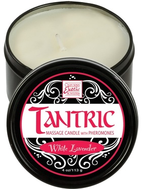 California Exotic: Tantric Massasjelys Hvit Lavendel 
