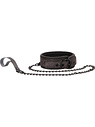 Elegant Collar/Leash