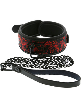 Dream Toys: Blaze, Deluxe Collar & Leash