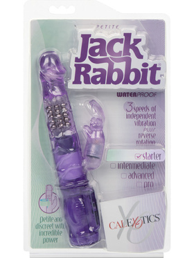 California Exotic: Petite Jack Rabbit, lilla