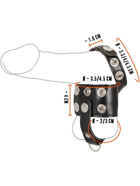 Rebel: Ball Stretcher with Separator and D-Ring 