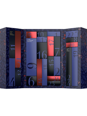 Satisfyer: Premium Erotisk Julekalender 2024