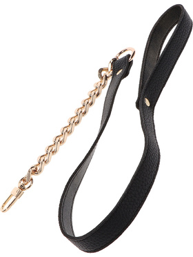 Taboom: Dona, Statement Collar and Leash