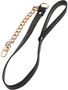 Taboom: Dona, Statement Collar and Leash