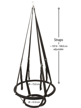 You2Toys: Sex Swing Ring