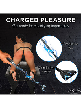 Zeus Electrosex: E-Stim Crop