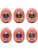 Tenga Egg: Stronger, Hard Boiled Package II, 6 stk