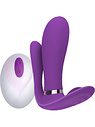 Pleasure Vibrator
