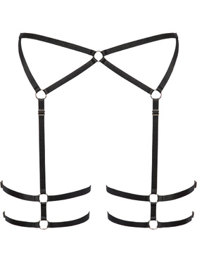 Cottelli Lingerie: Suspender Belt