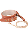 Elite Collar and Leash