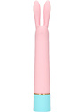Mini Rabbit Vibrator