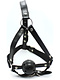 Face Harness Gag