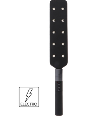 Hidden Desire Extreme: Electro Paddle