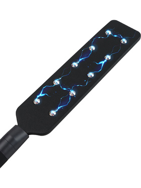 Hidden Desire Extreme: Electro Paddle