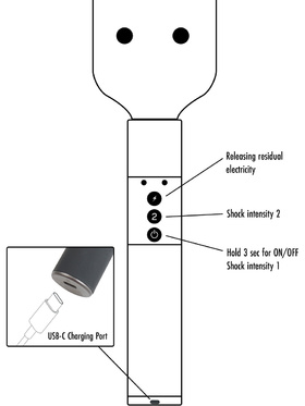 Hidden Desire Extreme: Electro Paddle
