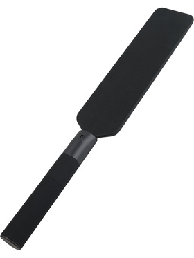 Hidden Desire Extreme: Electro Paddle
