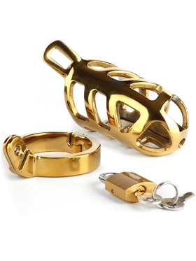 Mr Steel: Brutal Chastity Cage, gull
