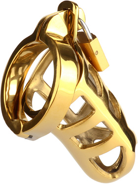 Mr Steel: Brutal Chastity Cage, gull
