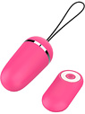 Surprise Egg Vibrator