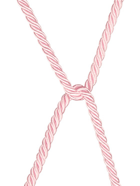 LoveToy: Rebellio Reign, Rose Silky Bondage Rope, 10m 
