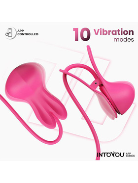 IntoYou: Tickly, Vibrating Nipple Clamps with App IntoYou: Tickly, Vibrating Nipple Clamps with App