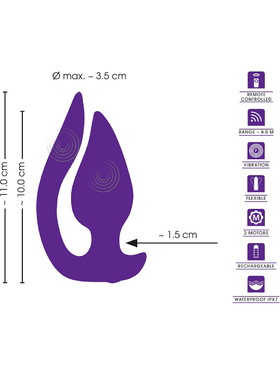Sweet Smile: RC 2in1 Plug & Panty Vibe Sweet Smile: RC 2in1 Plug & Panty Vibe
