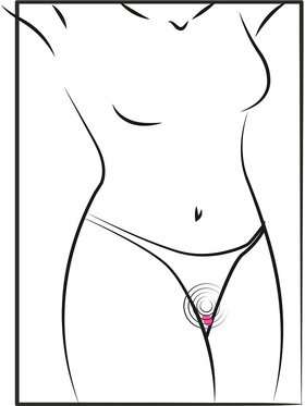 Sweet Smile: RC Panty Vibrator Heart