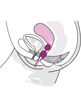 Fun Factory: SmartBalls Duo, lilla