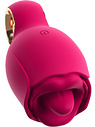 Oral Fun Vibrator